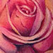 Tattoos - Realistic Rose - 74226